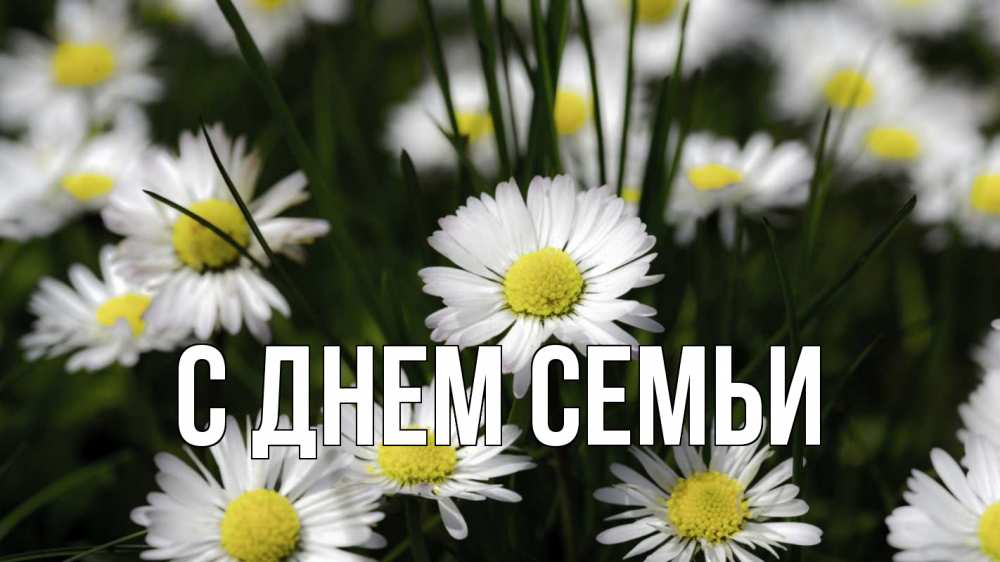 Листівка С днем семьи, 
