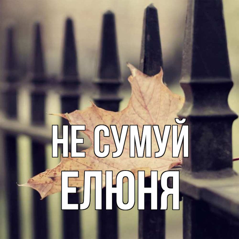 Открытка на каждый день з підписом, Елюня Не сумуй лист клена Прикольна листівка з побажанням онлайн скачати безкоштовно 