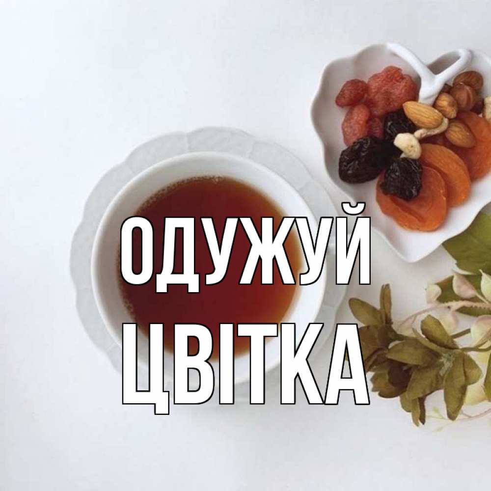Открытка на каждый день з підписом, Цвітка Одужуй неизвестные растения Прикольна листівка з побажанням онлайн скачати безкоштовно 