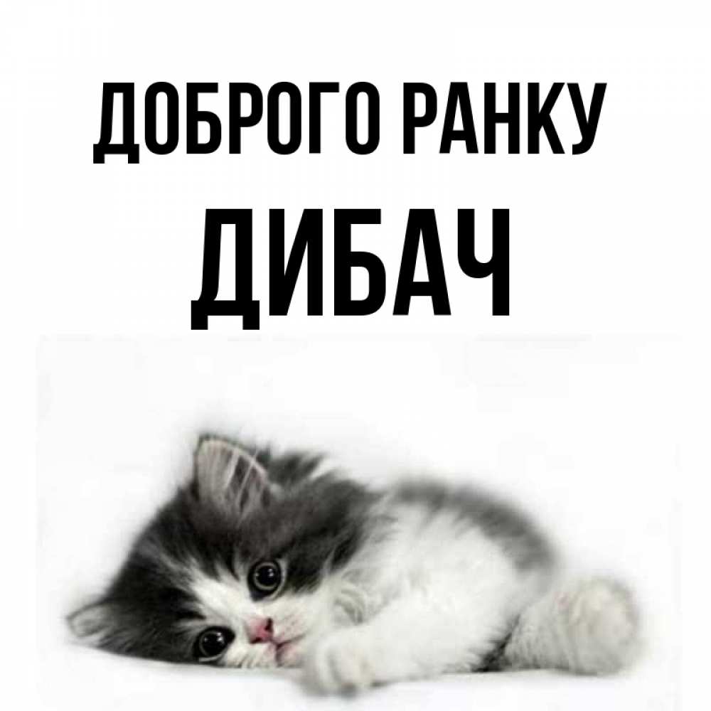 Открытка на каждый день з підписом, Дибач Доброго ранку кот лапки Прикольна листівка з побажанням онлайн скачати безкоштовно 