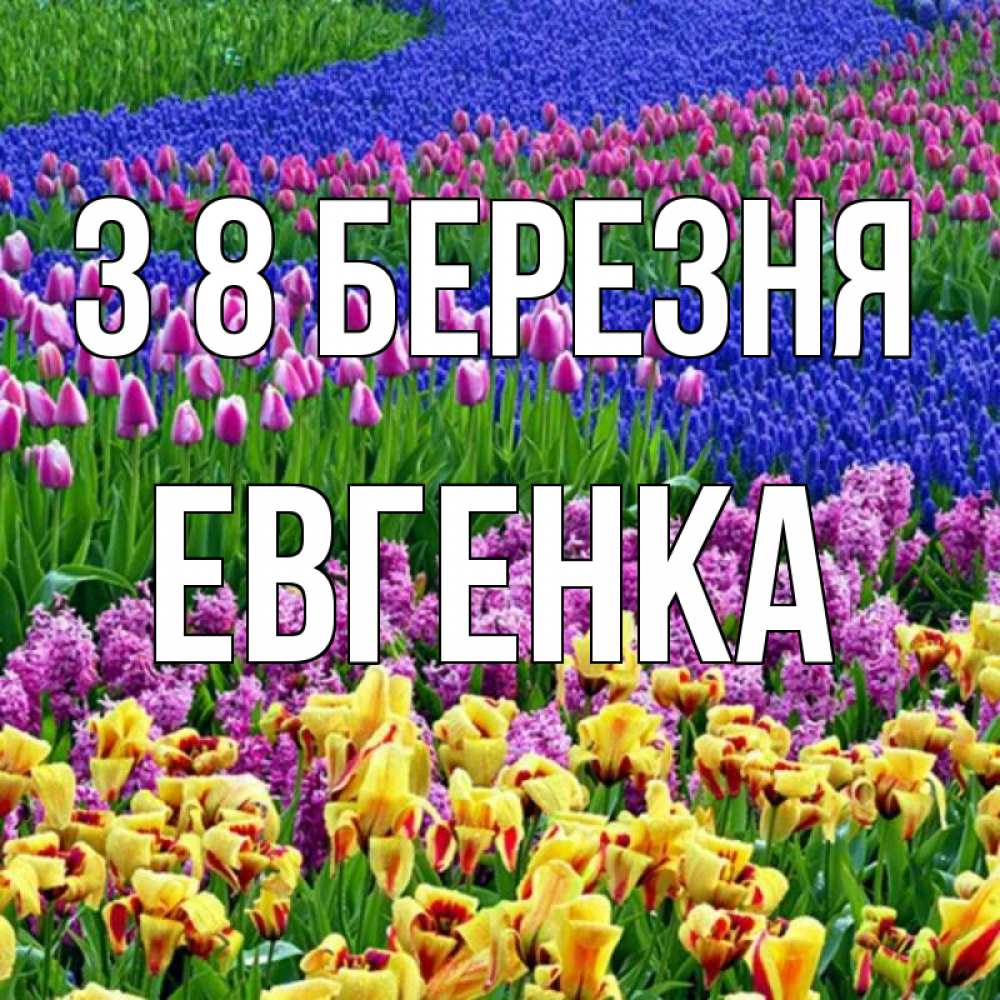 Открытка на каждый день з підписом, Евгенка З 8 БЕРЕЗНЯ цветы Прикольна листівка з побажанням онлайн скачати безкоштовно 