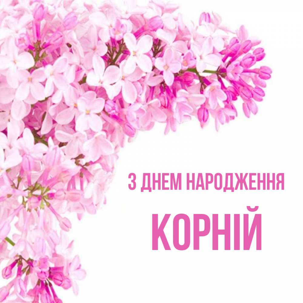 Открытка на каждый день з підписом, Корній З Днем народження Сирень на белом фоне Прикольна листівка з побажанням онлайн скачати безкоштовно 