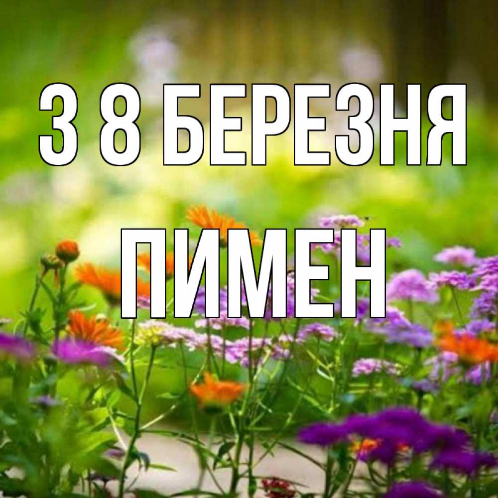 Открытка на каждый день з підписом, Пимен З 8 БЕРЕЗНЯ цветы Прикольна листівка з побажанням онлайн скачати безкоштовно 