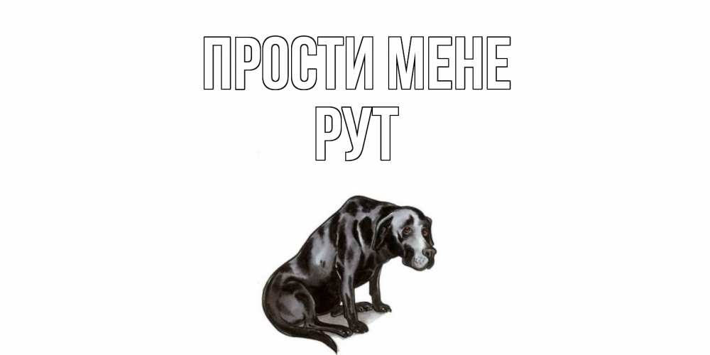 Открытка на каждый день з підписом, Рут Прости мене грустная собака на открытке с подписью прости меня Прикольна листівка з побажанням онлайн скачати безкоштовно 