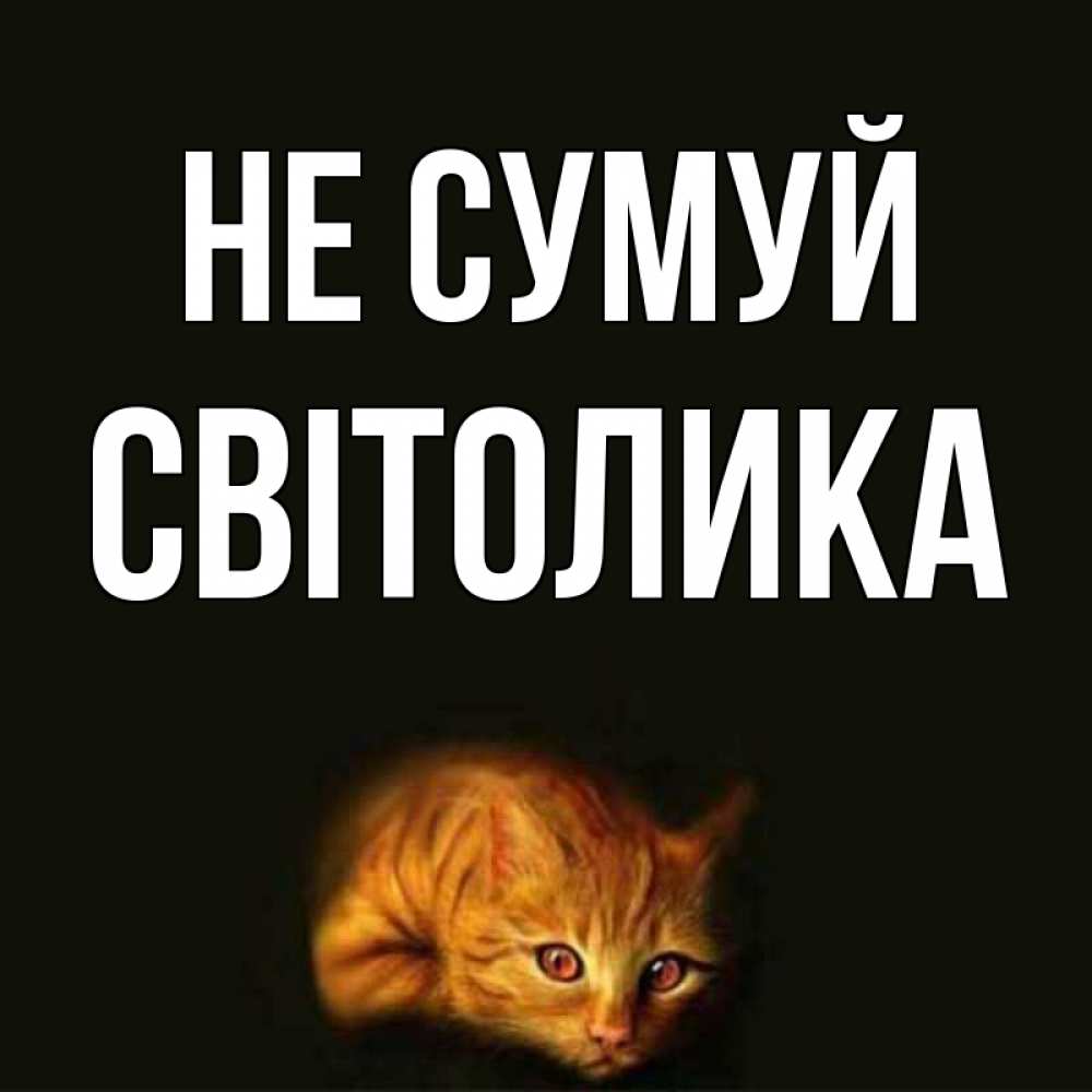 Открытка на каждый день з підписом, Світолика Не сумуй лежащий кот в темноте Прикольна листівка з побажанням онлайн скачати безкоштовно 