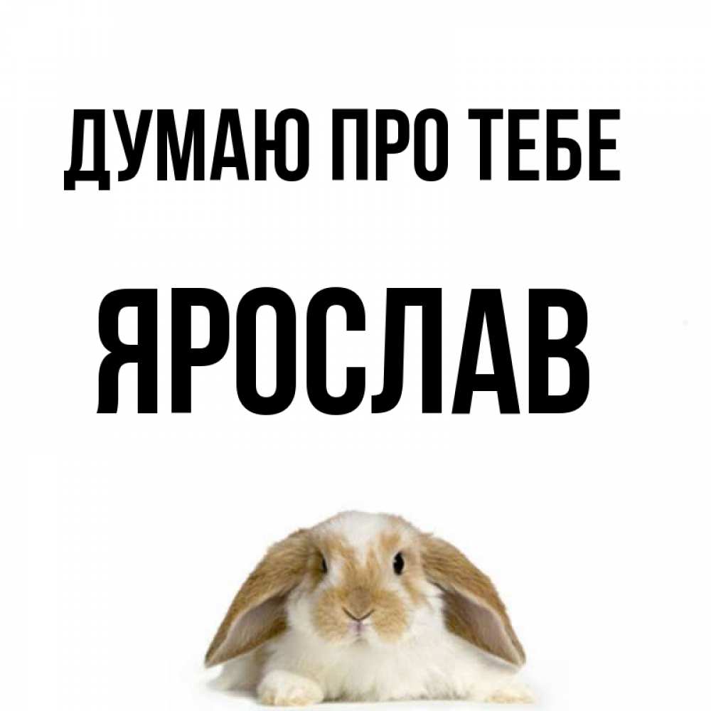 Открытка на каждый день з підписом, Ярослав Думаю про тебе подписать своими руками онлайн Прикольна листівка з побажанням онлайн скачати безкоштовно 