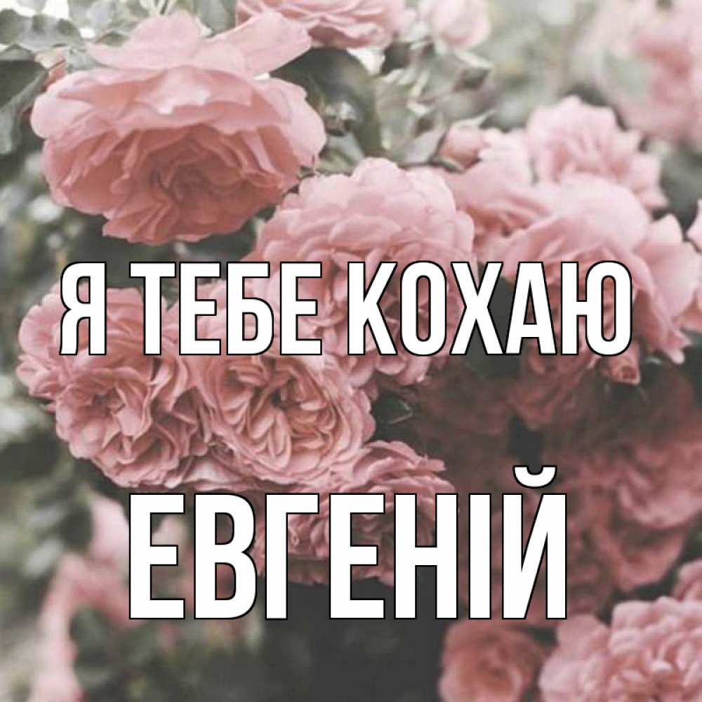 Открытка на каждый день з підписом, Евгеній Я тебе кохаю розы 3 Прикольна листівка з побажанням онлайн скачати безкоштовно 