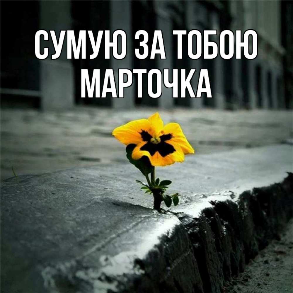 Открытка на каждый день з підписом, Марточка Сумую за тобою надеюсь будет лучше Прикольна листівка з побажанням онлайн скачати безкоштовно 