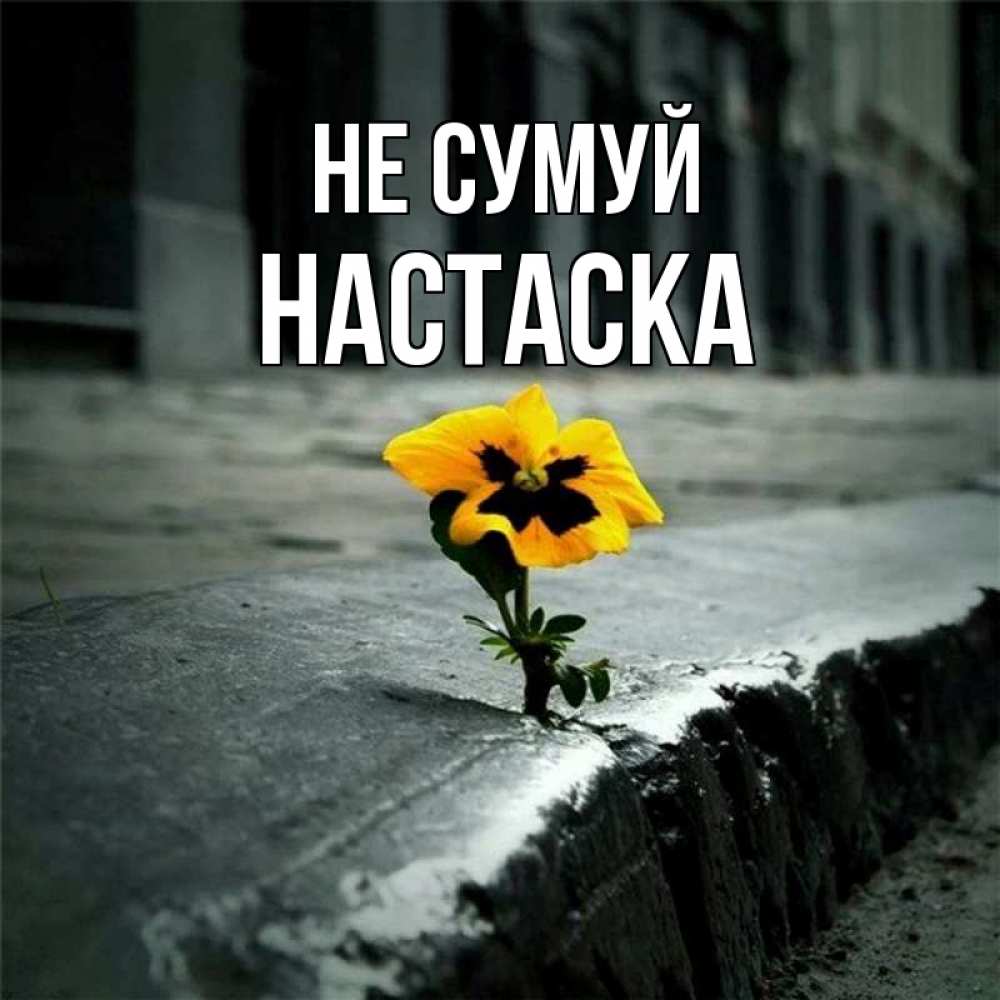 Открытка на каждый день з підписом, Настаска Не сумуй не сдавайся Прикольна листівка з побажанням онлайн скачати безкоштовно 