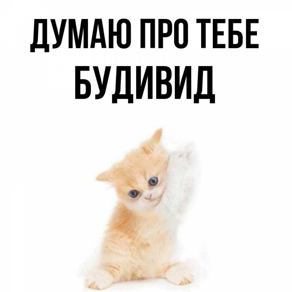 Открытка на каждый день з підписом, Будивид Думаю про тебе зверушки и милота Прикольна листівка з побажанням онлайн скачати безкоштовно 