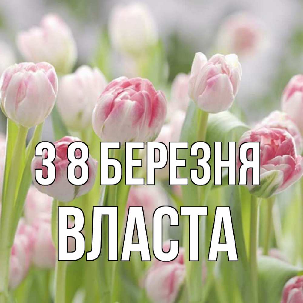 Открытка на каждый день з підписом, Власта З 8 БЕРЕЗНЯ цветы Прикольна листівка з побажанням онлайн скачати безкоштовно 