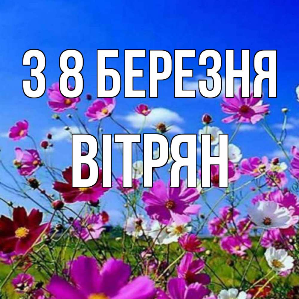 Открытка на каждый день з підписом, Вітрян З 8 БЕРЕЗНЯ цветы Прикольна листівка з побажанням онлайн скачати безкоштовно 