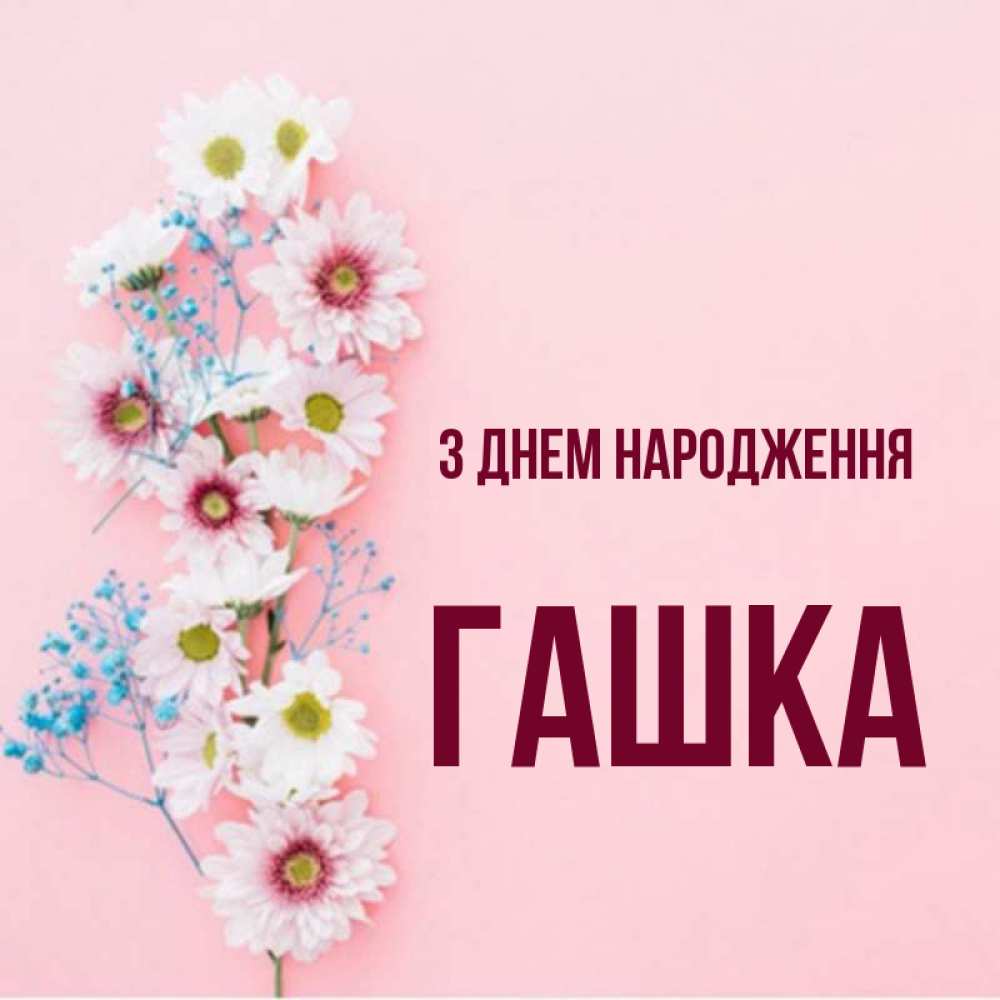 Открытка на каждый день з підписом, Гашка З Днем народження Родная моя с днем рождения тебя картинка с цветами белыми и голубыми Прикольна листівка з побажанням онлайн скачати безкоштовно 