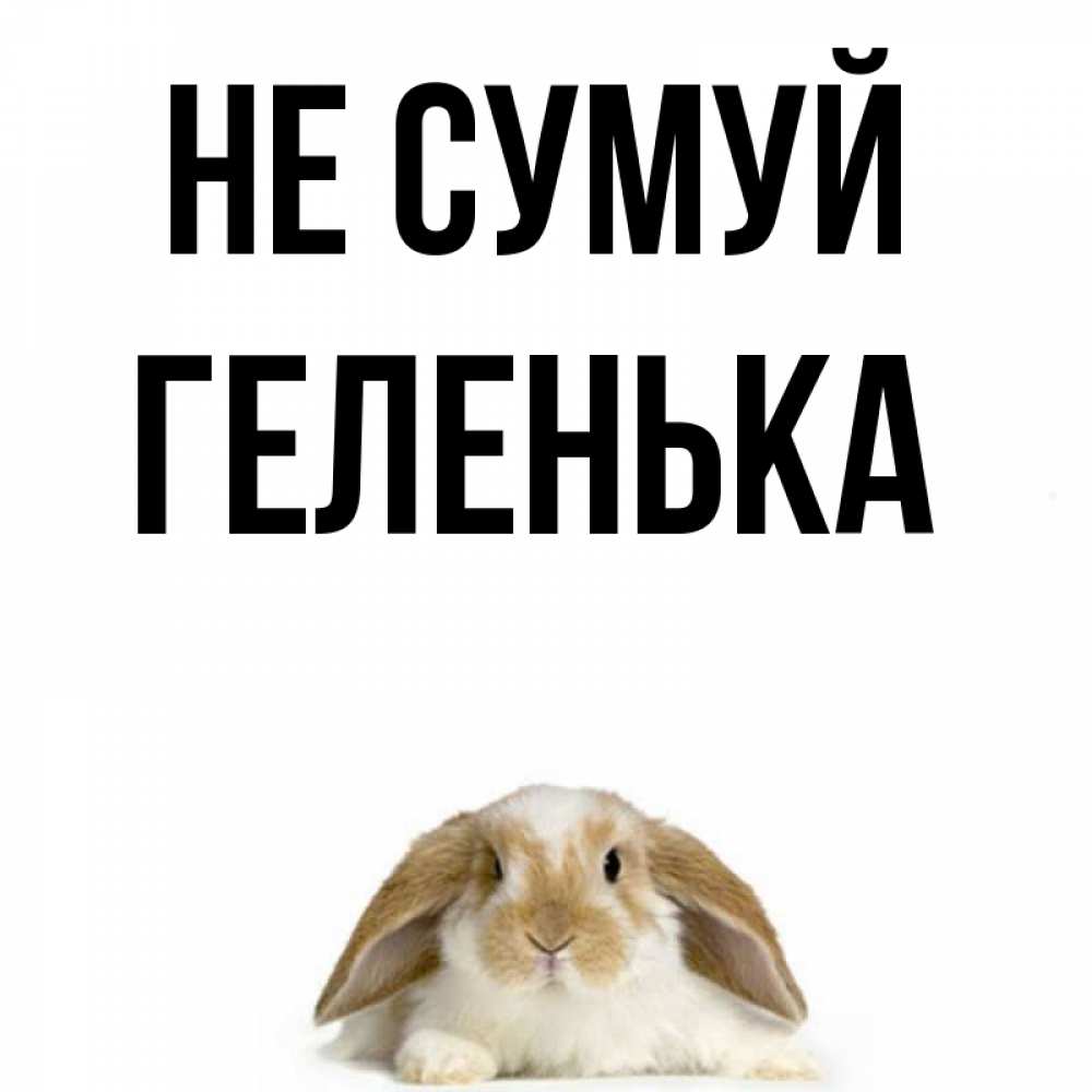 Открытка на каждый день з підписом, Геленька Не сумуй коричнево белый заяц с большими ушками Прикольна листівка з побажанням онлайн скачати безкоштовно 
