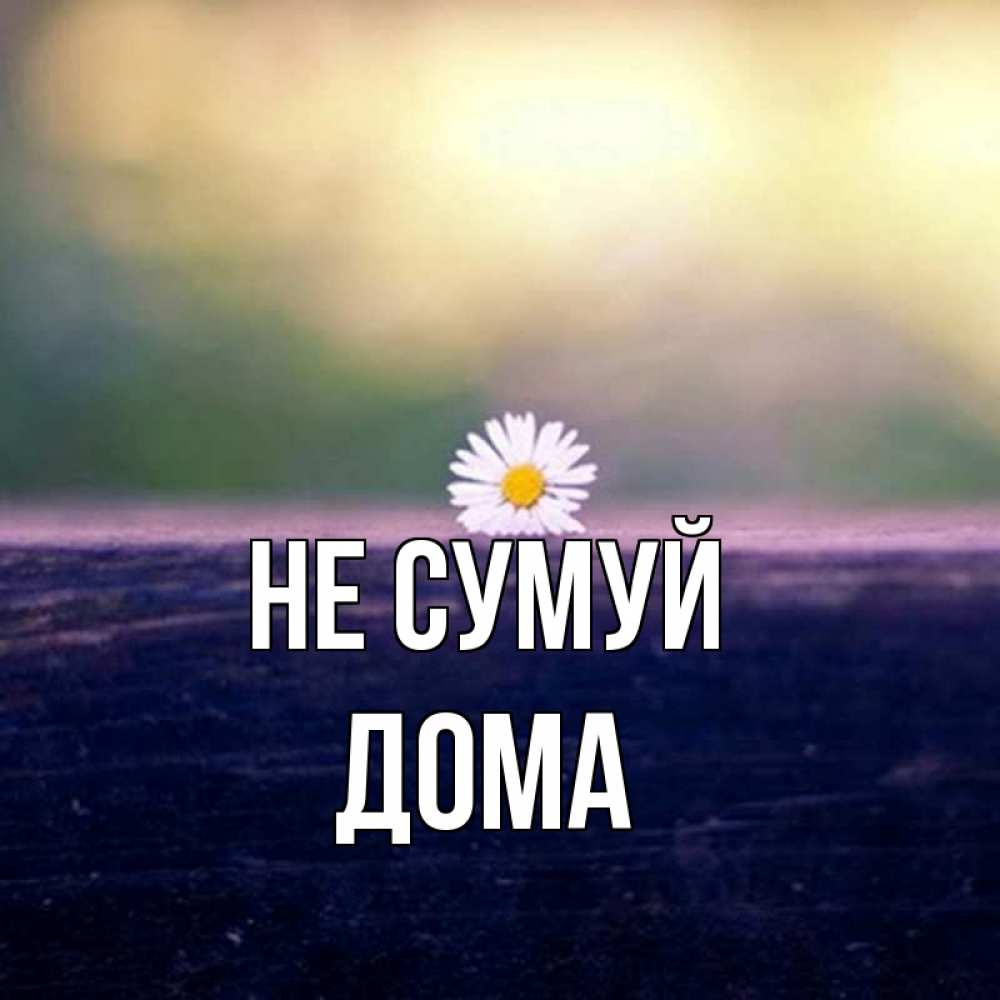 Открытка на каждый день з підписом, Дома Не сумуй красота Прикольна листівка з побажанням онлайн скачати безкоштовно 