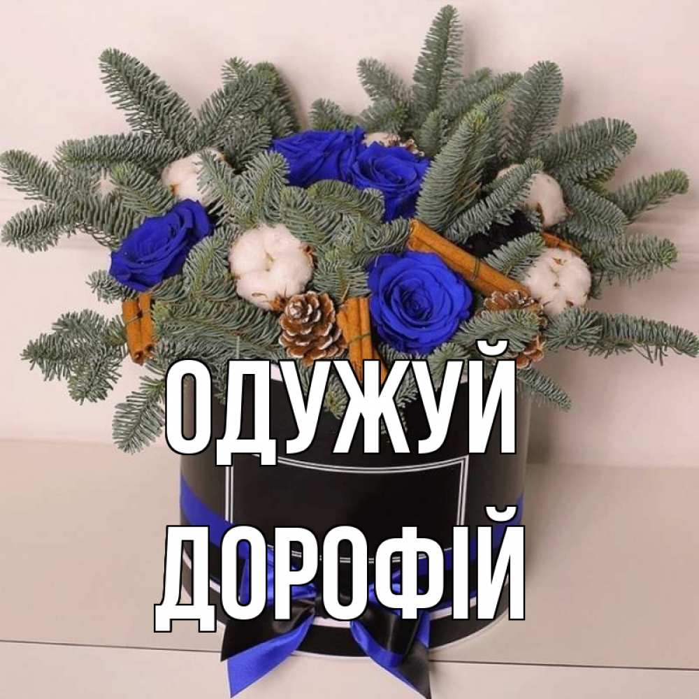 Открытка на каждый день з підписом, Дорофій Одужуй короче кто то загрузил эти шишки Прикольна листівка з побажанням онлайн скачати безкоштовно 