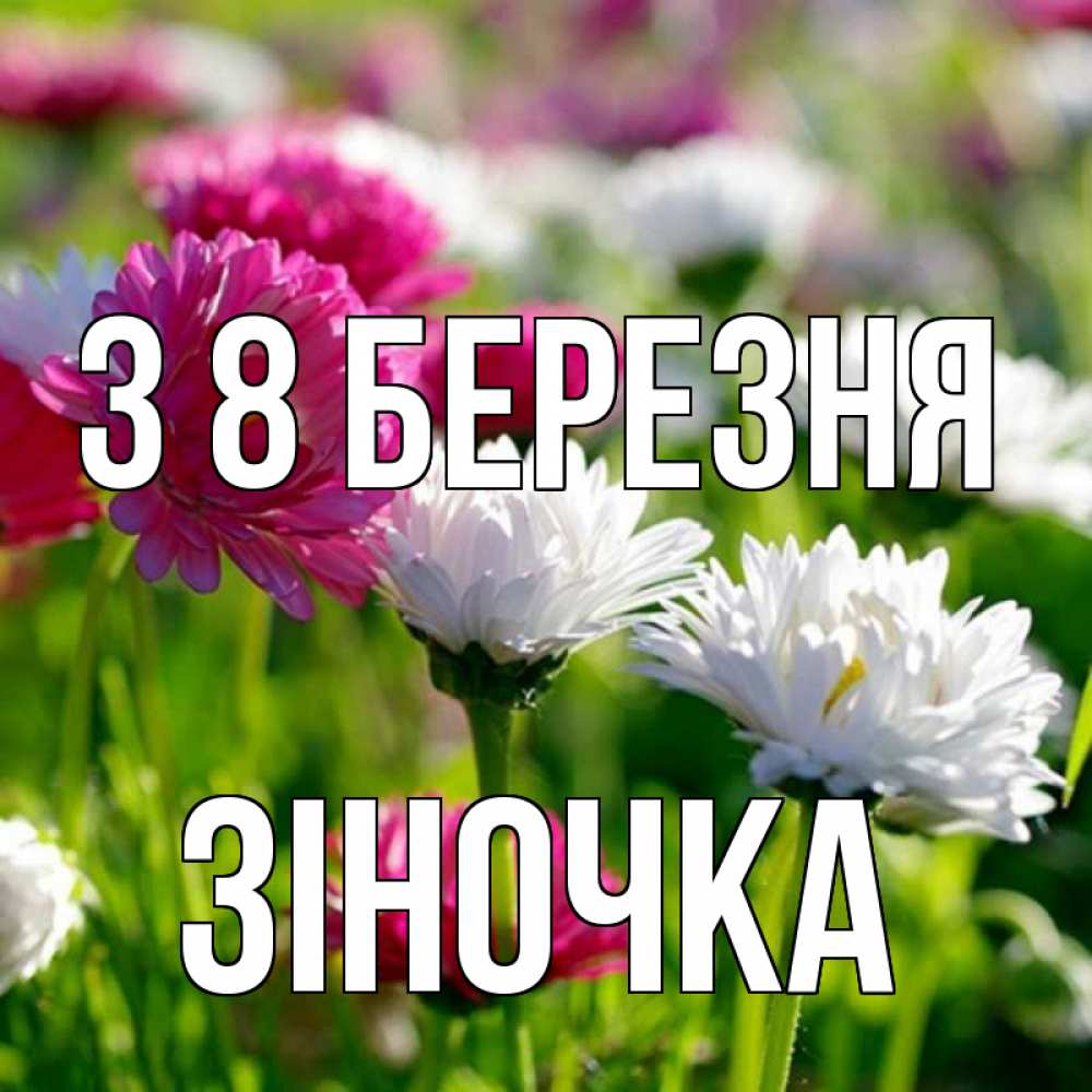 Открытка на каждый день з підписом, Зіночка З 8 БЕРЕЗНЯ международный женский день 1 Прикольна листівка з побажанням онлайн скачати безкоштовно 