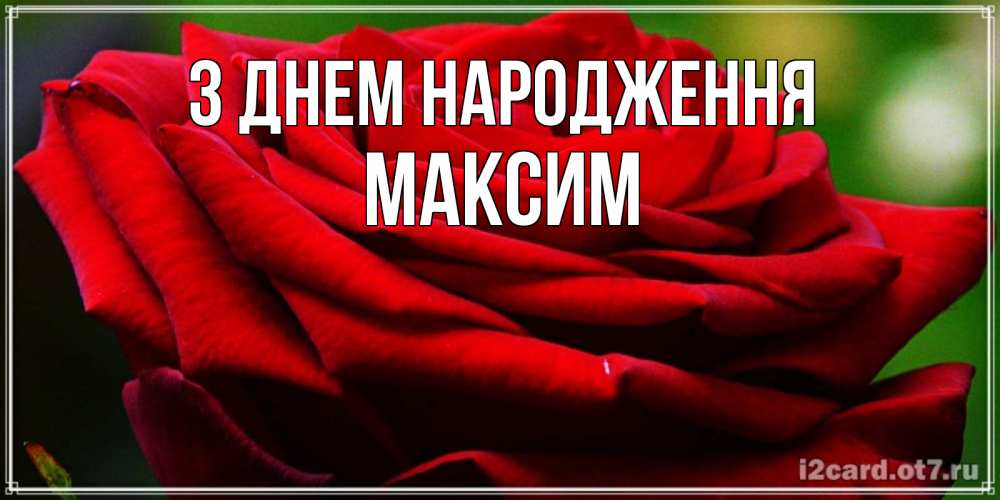 Открытка на каждый день з підписом, Максим З Днем народження розочка очень красивая Прикольна листівка з побажанням онлайн скачати безкоштовно 