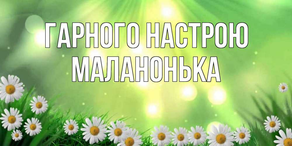 Открытка на каждый день з підписом, Маланонька Гарного настрою открытка с ромашками и солнечными лучами Прикольна листівка з побажанням онлайн скачати безкоштовно 