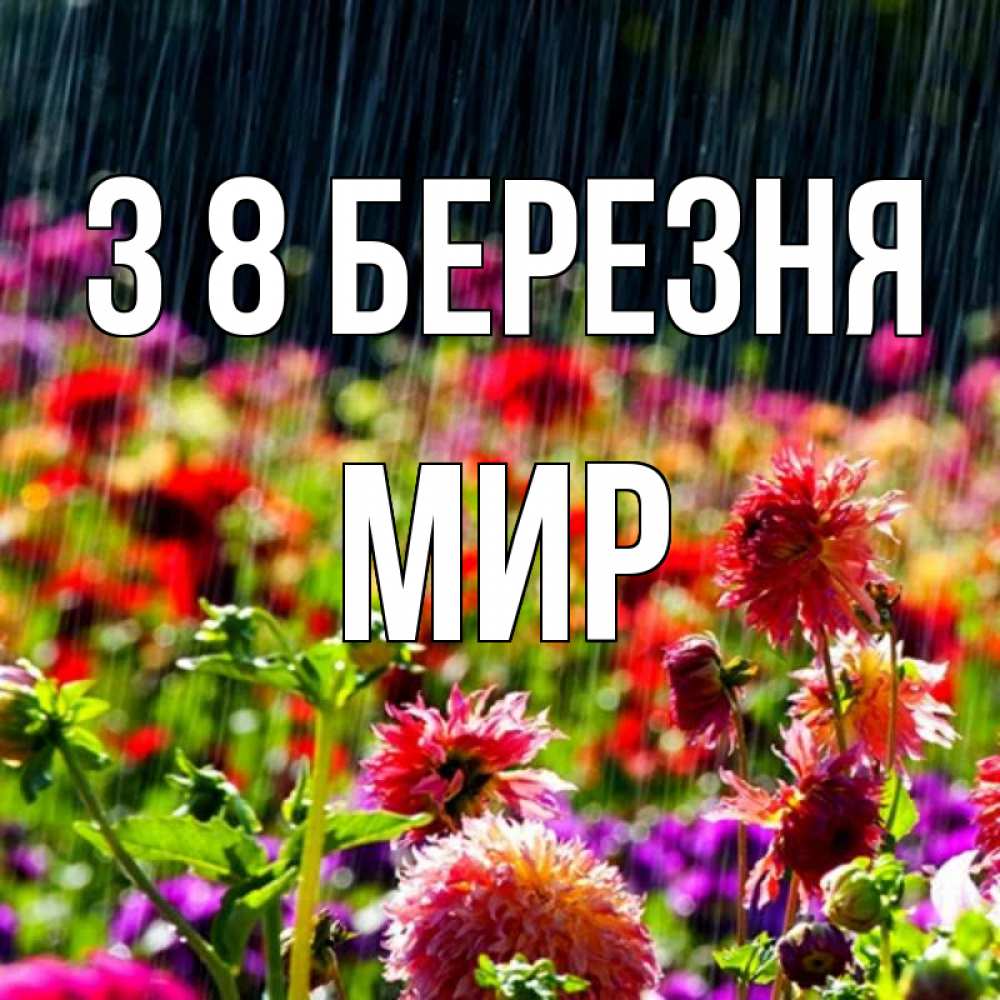 Открытка на каждый день з підписом, Мир З 8 БЕРЕЗНЯ цветы под дождиком к международному женскому дню Прикольна листівка з побажанням онлайн скачати безкоштовно 
