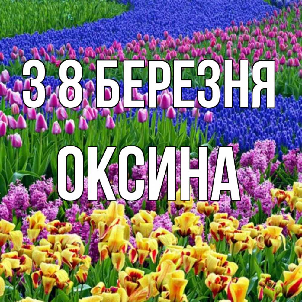 Открытка на каждый день з підписом, Оксина З 8 БЕРЕЗНЯ цветы Прикольна листівка з побажанням онлайн скачати безкоштовно 