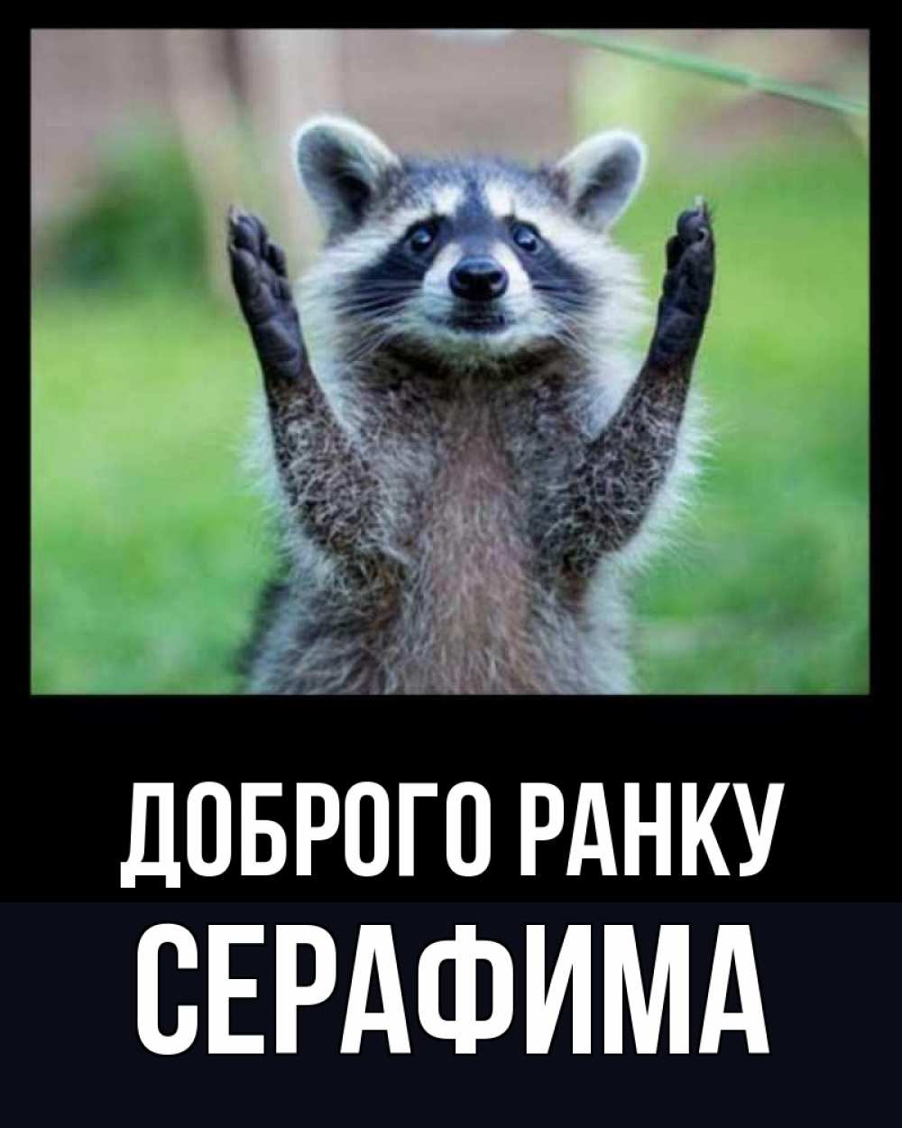 Открытка на каждый день з підписом, Серафима Доброго ранку хорошее настроение утречком Прикольна листівка з побажанням онлайн скачати безкоштовно 