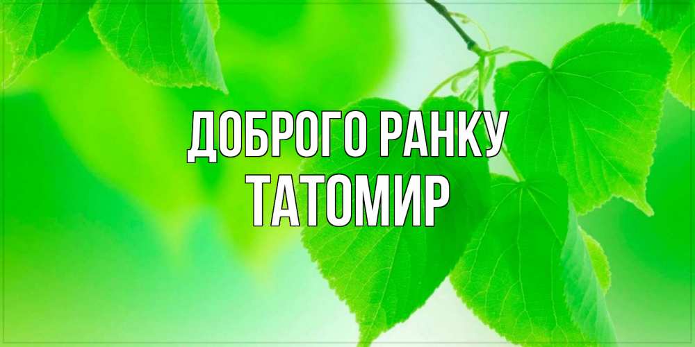 Открытка на каждый день з підписом, Татомир Доброго ранку доброе утро с березовыми листьями Прикольна листівка з побажанням онлайн скачати безкоштовно 