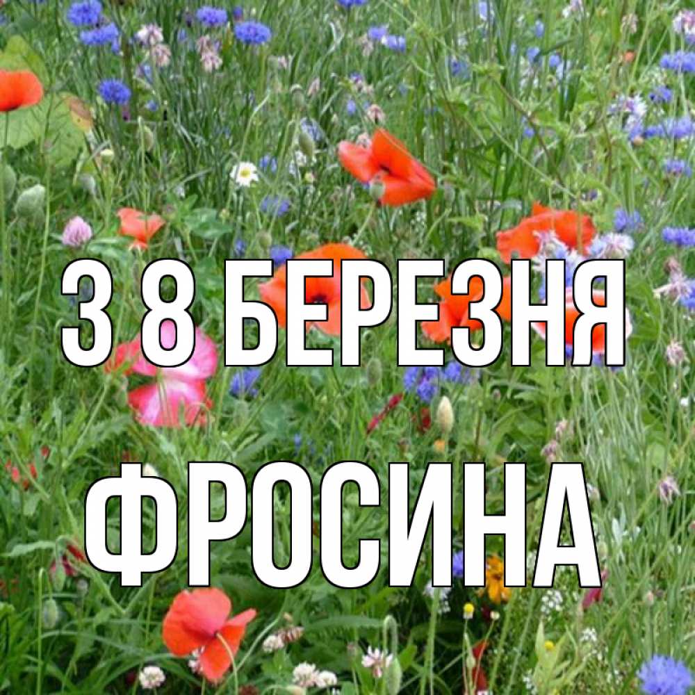 Открытка на каждый день з підписом, Фросина З 8 БЕРЕЗНЯ международный женский день 4 Прикольна листівка з побажанням онлайн скачати безкоштовно 