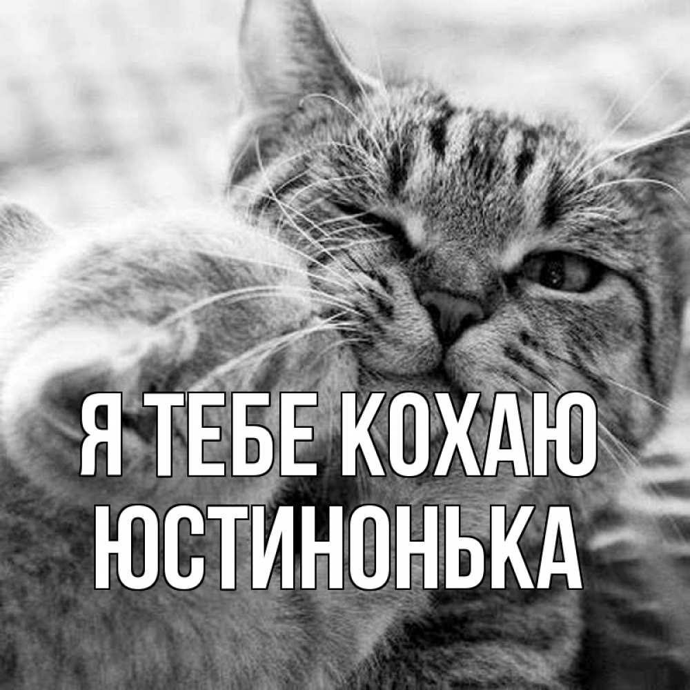 Открытка на каждый день з підписом, Юстинонька Я тебе кохаю коты Прикольна листівка з побажанням онлайн скачати безкоштовно 