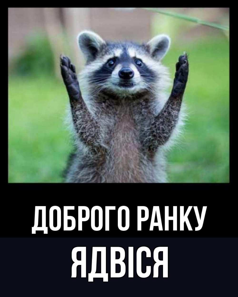Открытка на каждый день з підписом, Ядвіся Доброго ранку хорошее настроение утречком Прикольна листівка з побажанням онлайн скачати безкоштовно 