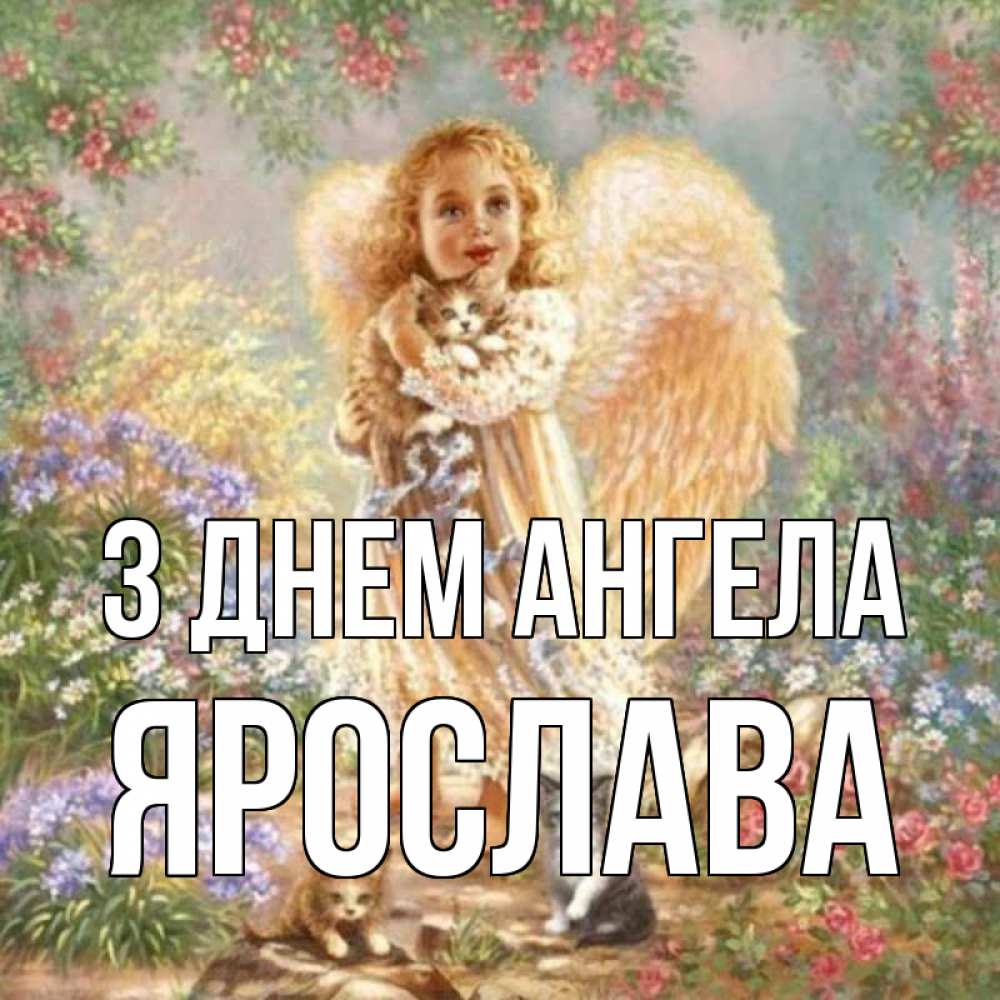 Открытка на каждый день з підписом, Ярослава З Днем ангела держит котенка Прикольна листівка з побажанням онлайн скачати безкоштовно 