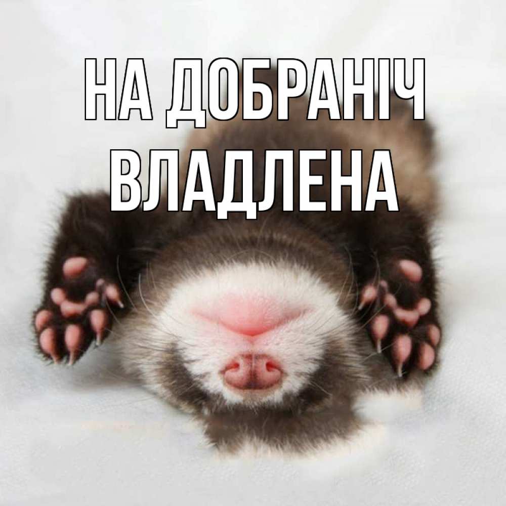 Открытка на каждый день з підписом, Владлена На добраніч зверек Прикольна листівка з побажанням онлайн скачати безкоштовно 