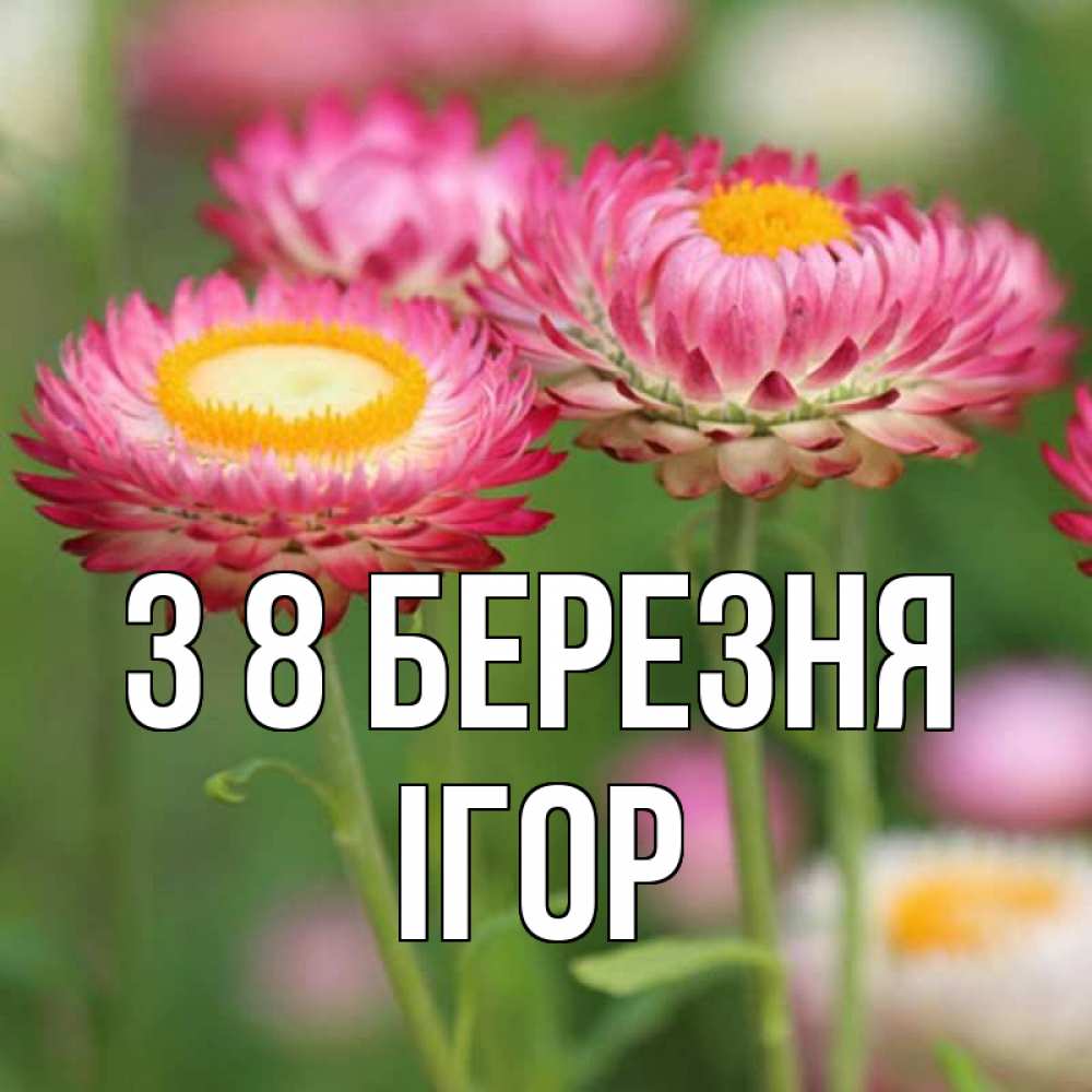 Открытка на каждый день з підписом, Ігор З 8 БЕРЕЗНЯ подарок на международный женский день Прикольна листівка з побажанням онлайн скачати безкоштовно 