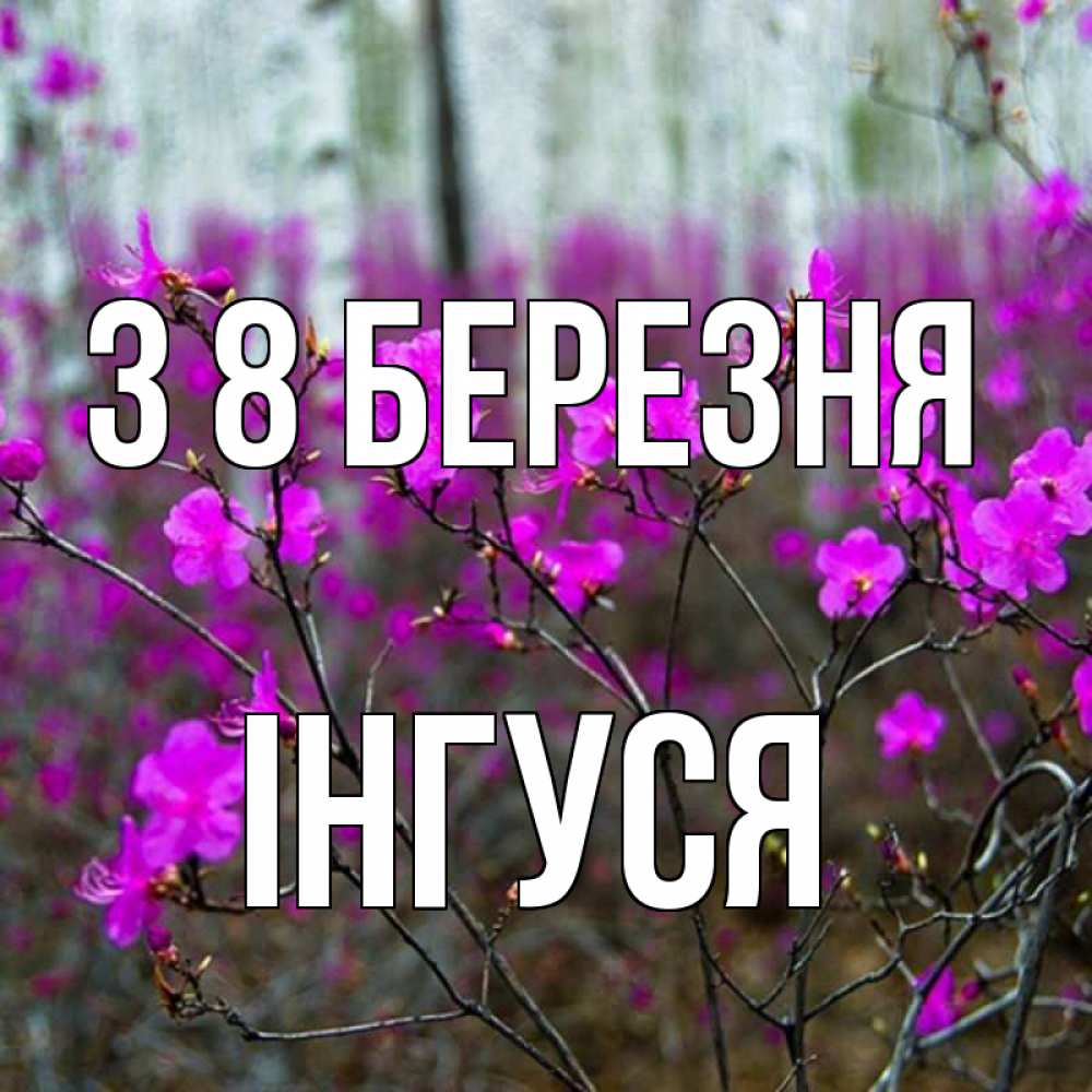 Открытка на каждый день з підписом, Інгуся З 8 БЕРЕЗНЯ дикие цветы Прикольна листівка з побажанням онлайн скачати безкоштовно 