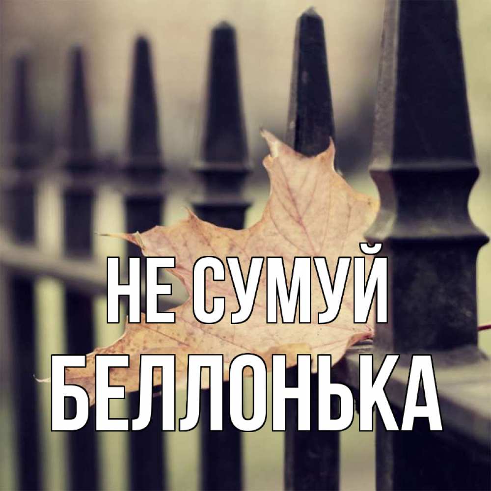 Открытка на каждый день з підписом, Беллонька Не сумуй лист клена Прикольна листівка з побажанням онлайн скачати безкоштовно 