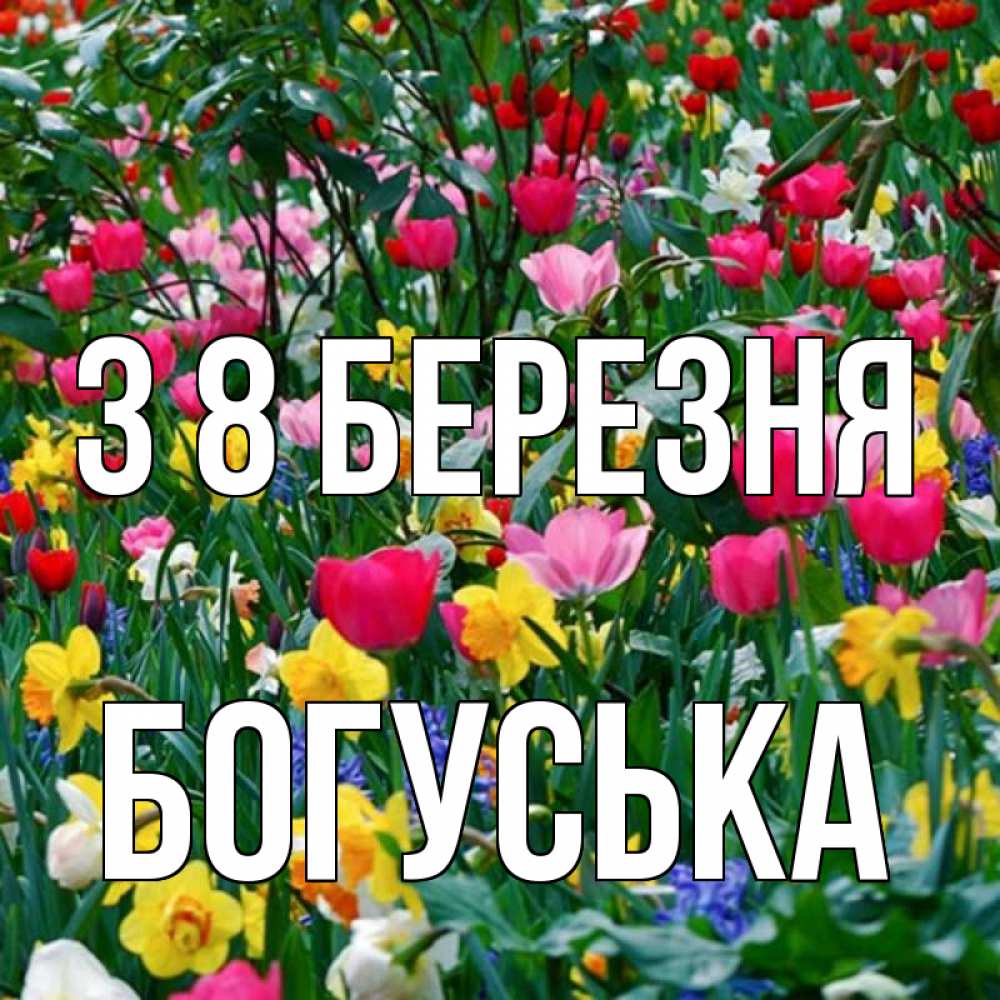 Открытка на каждый день з підписом, Богуська З 8 БЕРЕЗНЯ с международным женским днем поздравления для женщины Прикольна листівка з побажанням онлайн скачати безкоштовно 