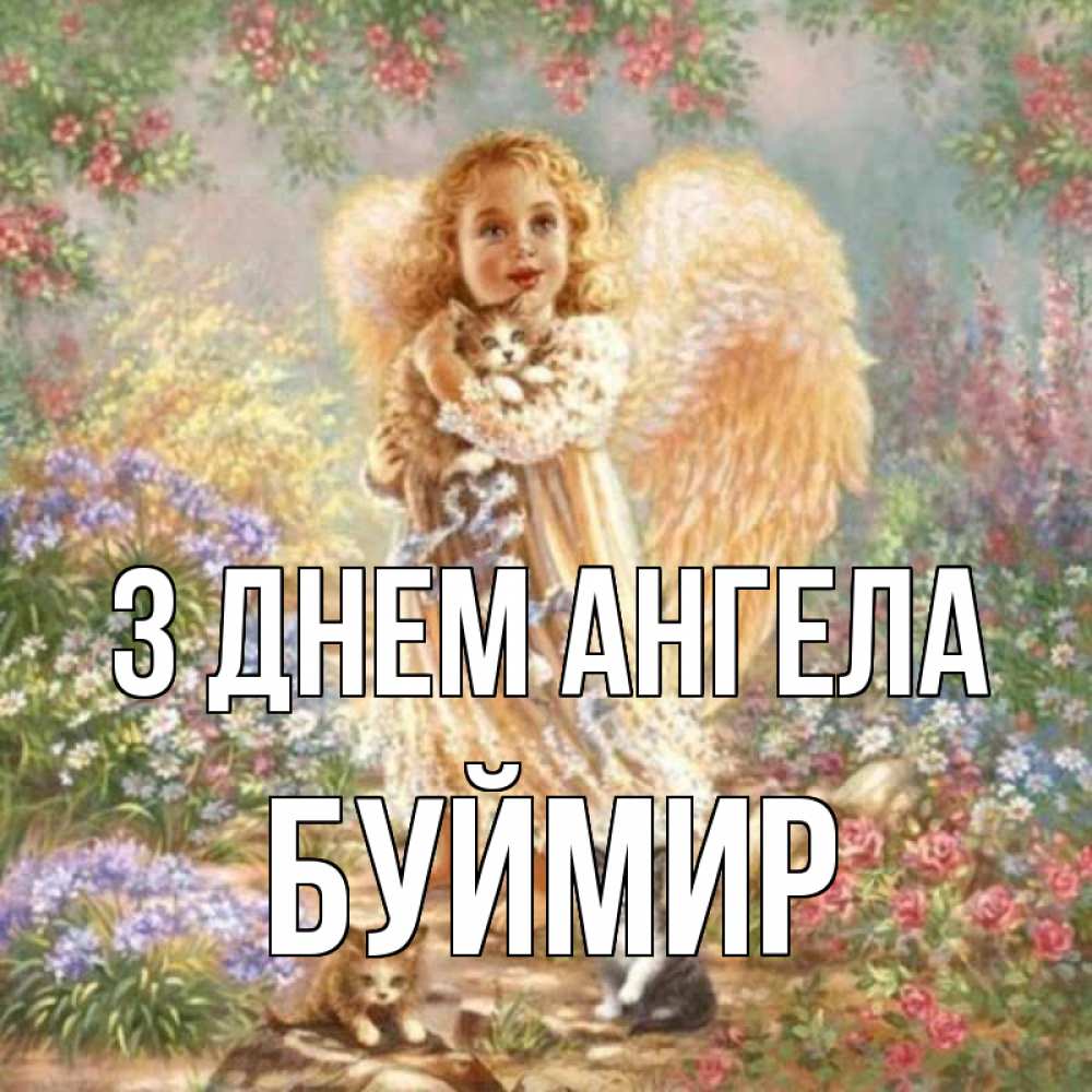 Открытка на каждый день з підписом, Буймир З Днем ангела держит котенка Прикольна листівка з побажанням онлайн скачати безкоштовно 