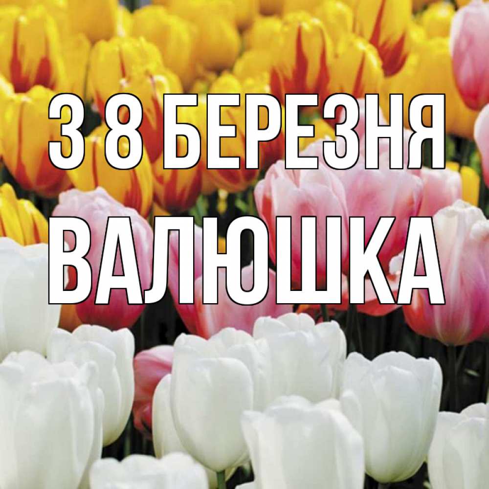 Открытка на каждый день з підписом, Валюшка З 8 БЕРЕЗНЯ разноцветные цветы Прикольна листівка з побажанням онлайн скачати безкоштовно 