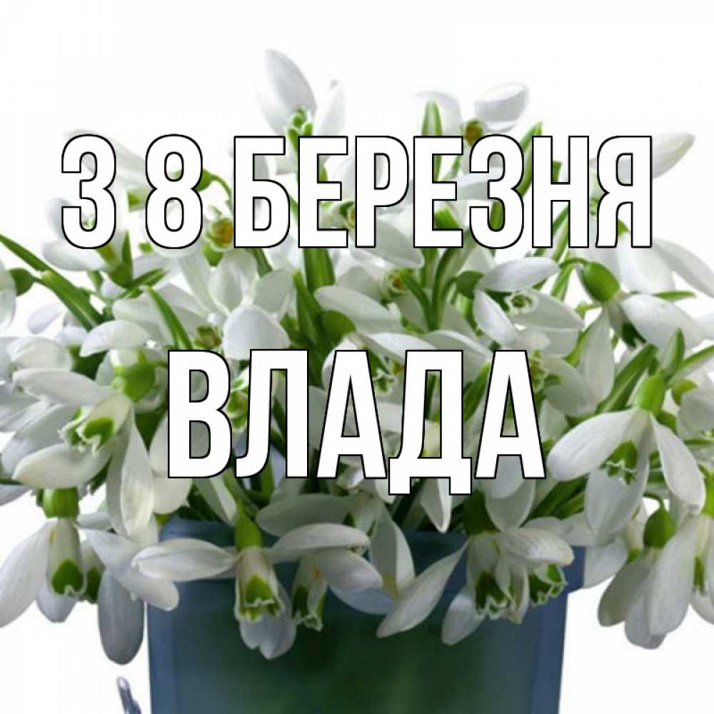 Открытка на каждый день з підписом, Влада З 8 БЕРЕЗНЯ цветы к международному женскому дню Прикольна листівка з побажанням онлайн скачати безкоштовно 
