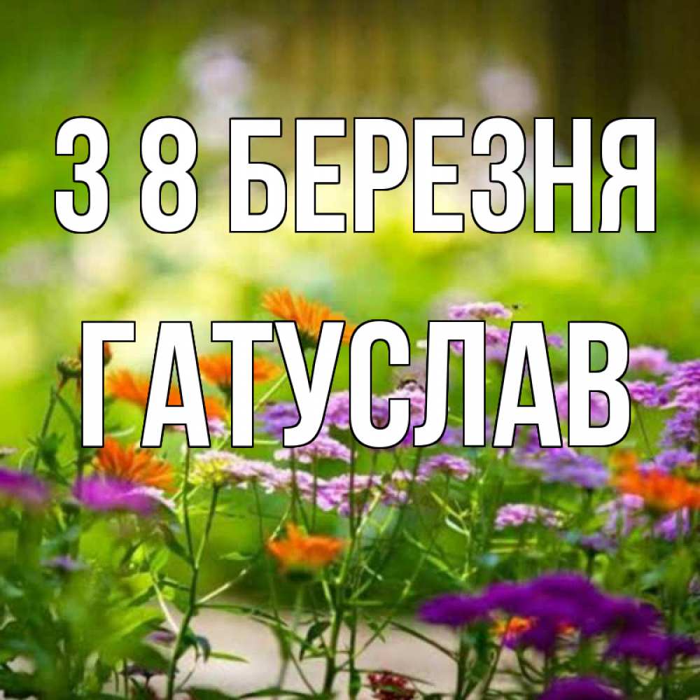 Открытка на каждый день з підписом, Гатуслав З 8 БЕРЕЗНЯ цветы Прикольна листівка з побажанням онлайн скачати безкоштовно 
