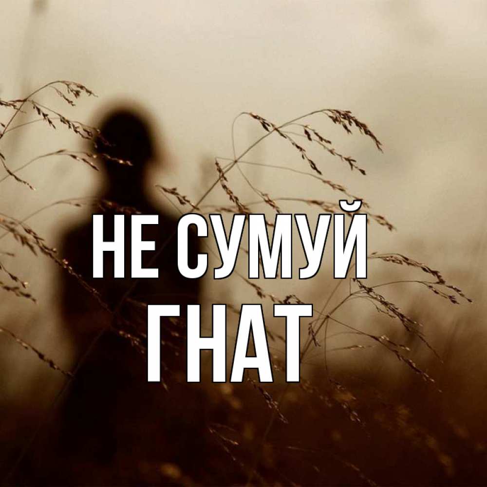 Открытка на каждый день з підписом, Гнат Не сумуй грусть Прикольна листівка з побажанням онлайн скачати безкоштовно 