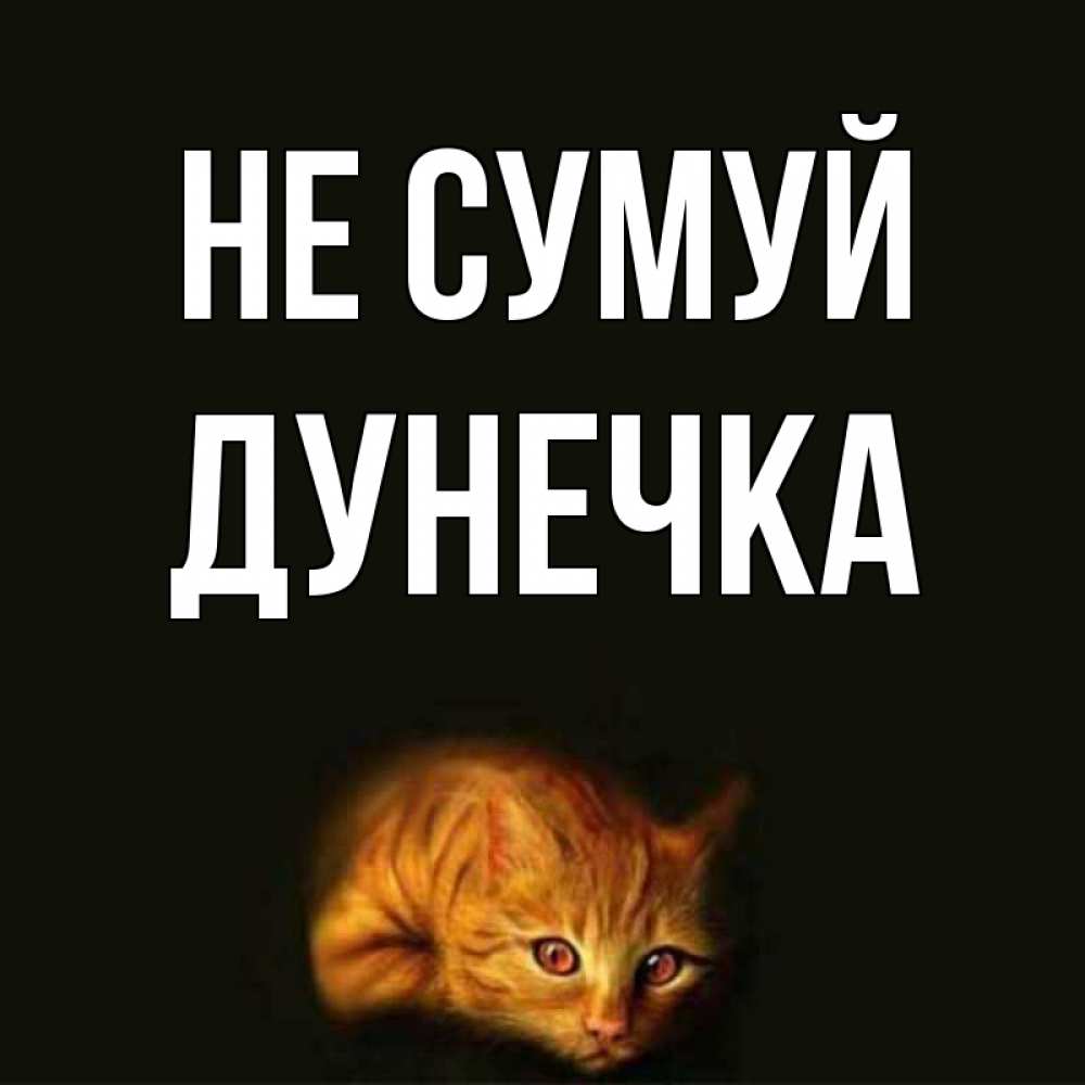 Открытка на каждый день з підписом, Дунечка Не сумуй лежащий кот в темноте Прикольна листівка з побажанням онлайн скачати безкоштовно 