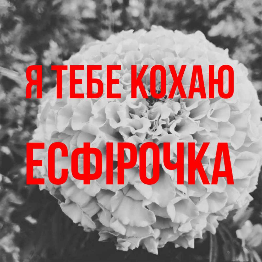 Открытка на каждый день з підписом, Есфірочка Я тебе кохаю подпись Прикольна листівка з побажанням онлайн скачати безкоштовно 