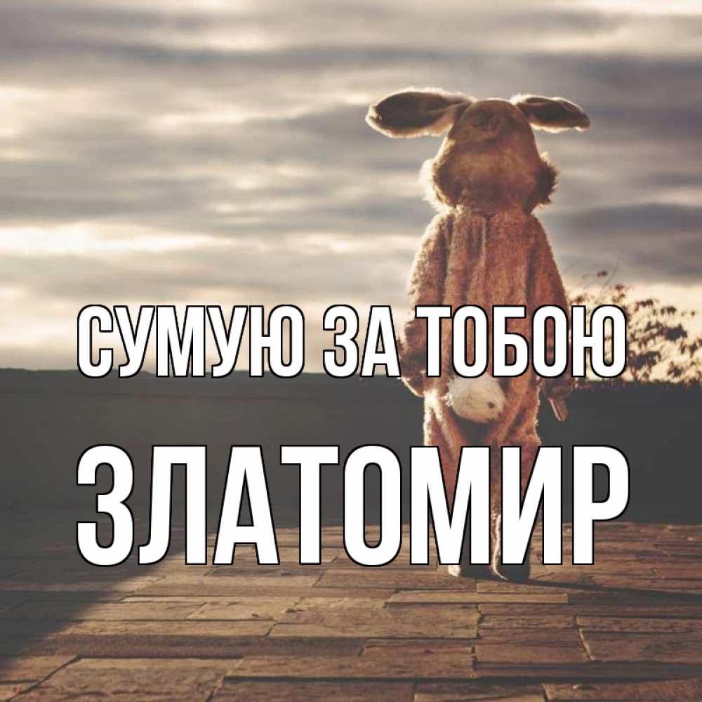 Открытка на каждый день з підписом, Златомир Сумую за тобою даже в костюме зайца Прикольна листівка з побажанням онлайн скачати безкоштовно 