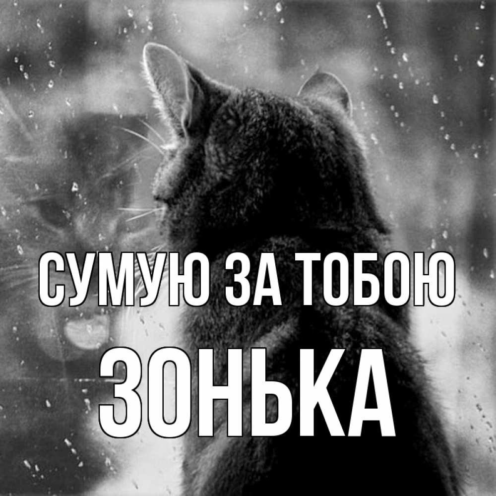 Открытка на каждый день з підписом, Зонька Сумую за тобою скорее ко мне приходи 1 Прикольна листівка з побажанням онлайн скачати безкоштовно 