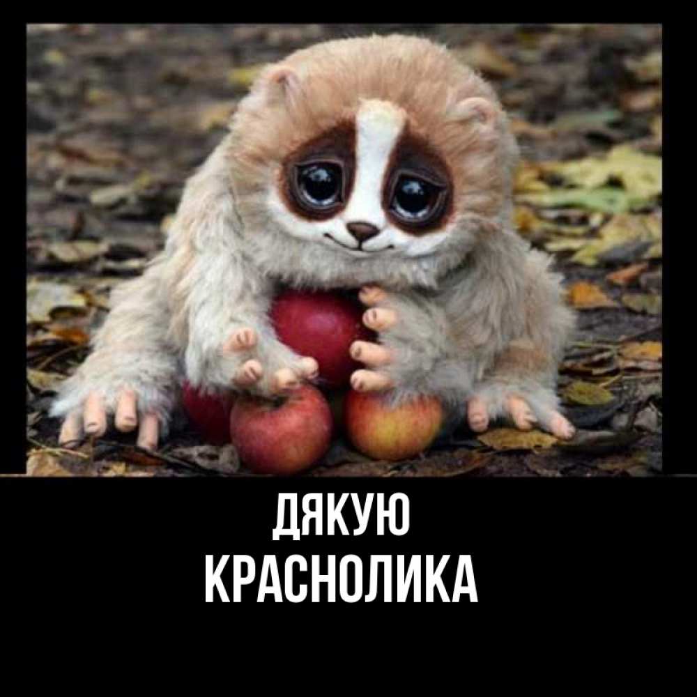 Открытка на каждый день з підписом, Краснолика Дякую прикольное животное Прикольна листівка з побажанням онлайн скачати безкоштовно 