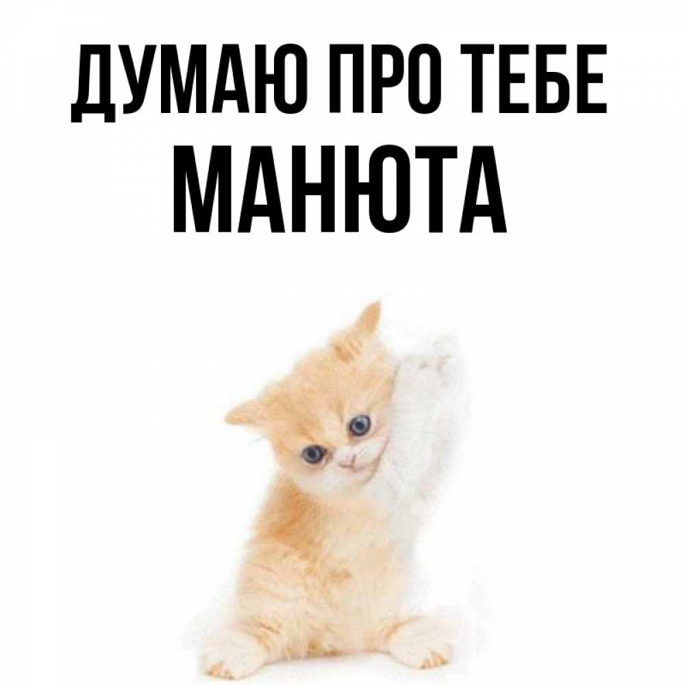 Открытка на каждый день з підписом, Манюта Думаю про тебе зверушки и милота Прикольна листівка з побажанням онлайн скачати безкоштовно 
