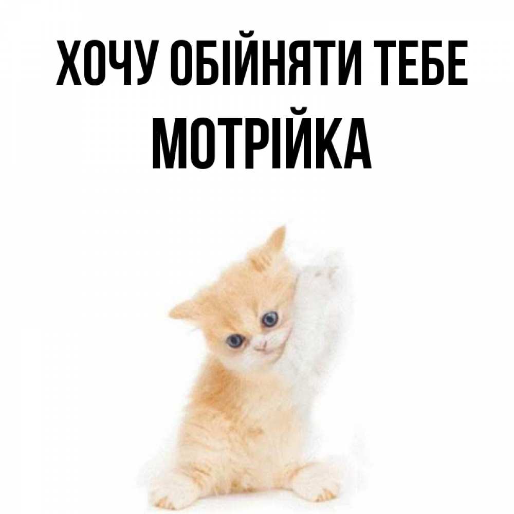 Открытка на каждый день з підписом, Мотрійка Хочу обійняти тебе я хочу очень скорее обнимаешек Прикольна листівка з побажанням онлайн скачати безкоштовно 
