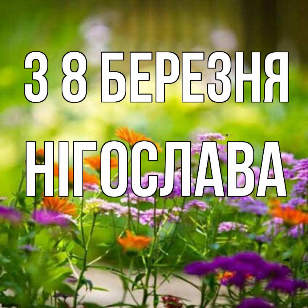 Открытка на каждый день з підписом, Нігослава З 8 БЕРЕЗНЯ цветы Прикольна листівка з побажанням онлайн скачати безкоштовно 