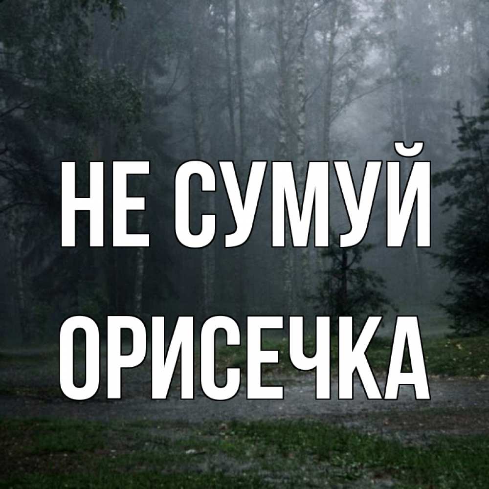 Открытка на каждый день з підписом, Орисечка Не сумуй осень Прикольна листівка з побажанням онлайн скачати безкоштовно 